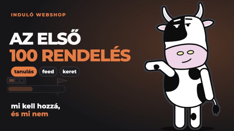 Pixel egy telítődő célsáv mellett, jelölt céllal: az induló webshop első száz rendelése.